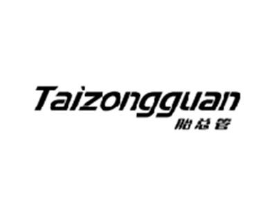 胎总管TAIZONGGUAN