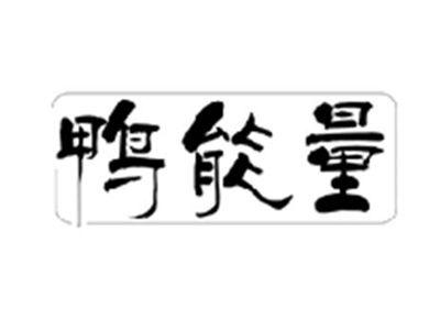 鸭能量