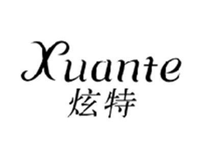 炫特XUANTE