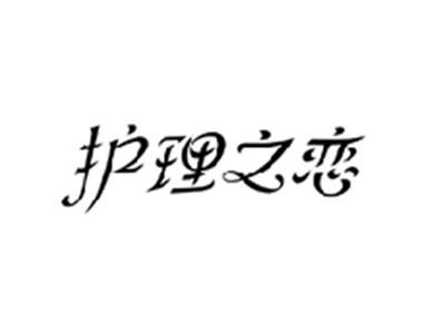 护理之恋