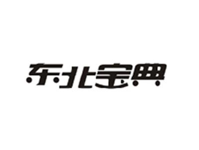 东北宝典