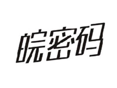 皖密码