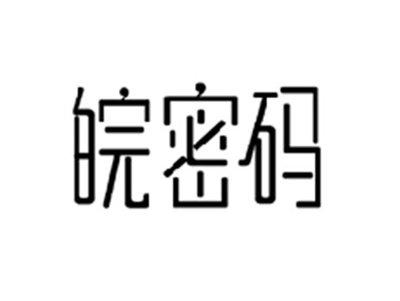 皖密码