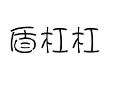 盾杠杠