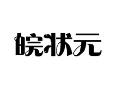 皖状元