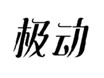 极动