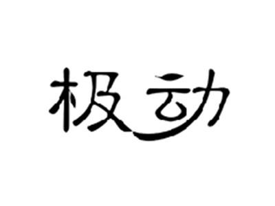 极动