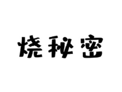 烧秘密