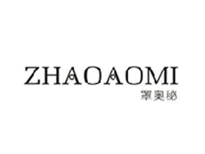 罩奥秘ZHAOAOMI
