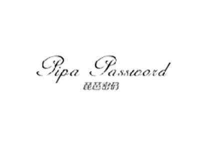琵琶密码PIPA PASSWORD