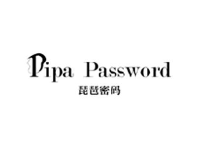 琵琶密码PIPA PASSWORD