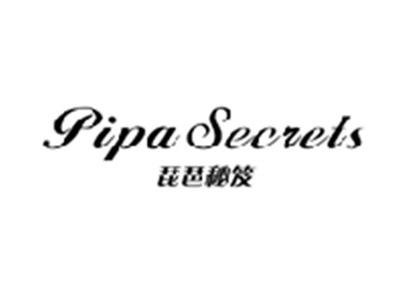 琵琶秘笈PIPA SECRETS