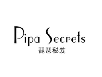 琵琶秘笈PIPA SECRETS