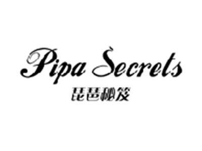 琵琶秘笈PIPA SECRETS