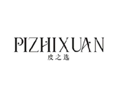 皮之选PIZHIXUAN