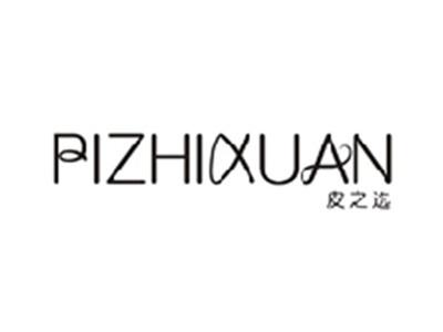 皮之选PIZHIXUAN