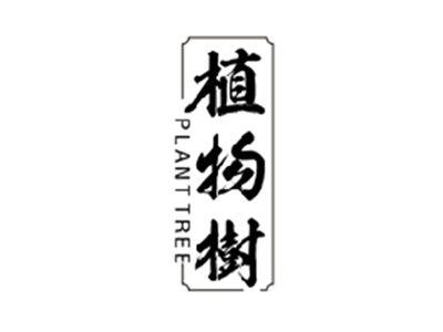 植物树PLANT TREE