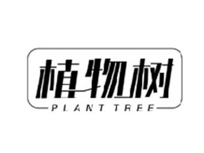 植物树PLANT TREE