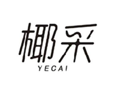 椰采YECAI