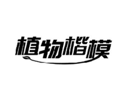 植物楷模