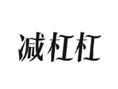 减杠杠