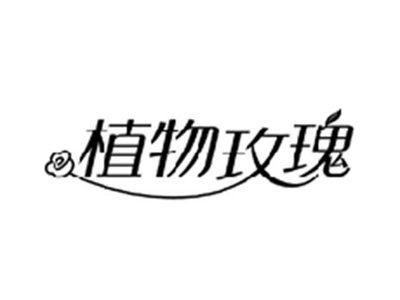 植物玫瑰