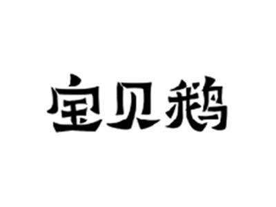 宝贝鹅