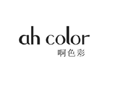 啊色彩AH COLOR