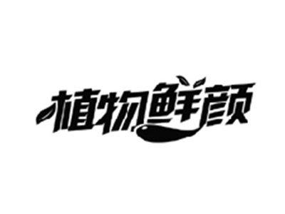 植物鲜颜