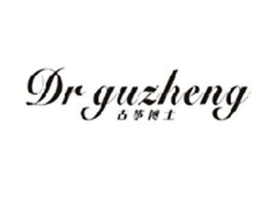 古筝博士DR GUZHENG