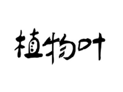 植物叶