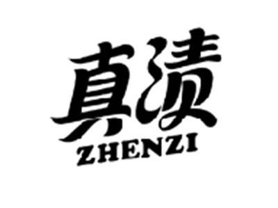 真渍ZHENZI
