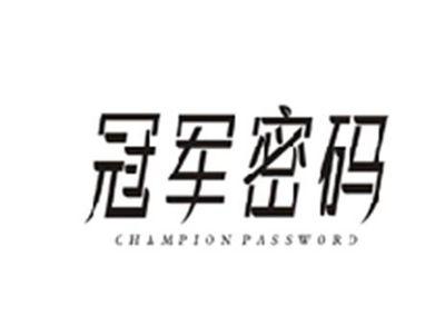 冠军密码CHAMPION PASSWORD