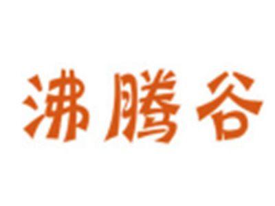 沸腾谷