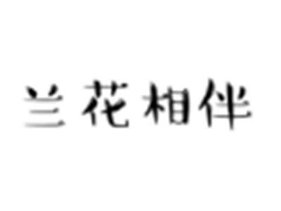 兰花相伴