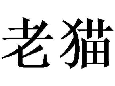 老猫
