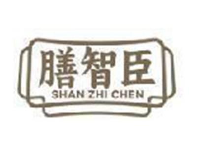 膳智臣
