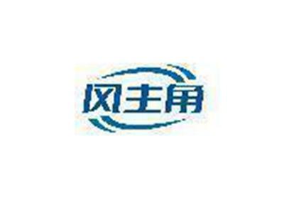 风主角