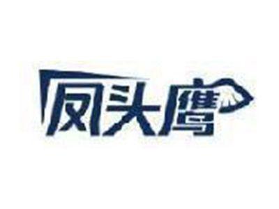 凤头鹰