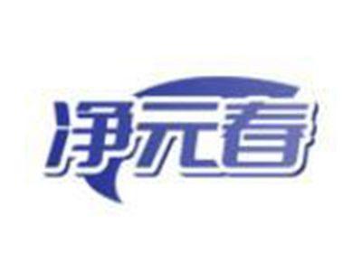 净元春