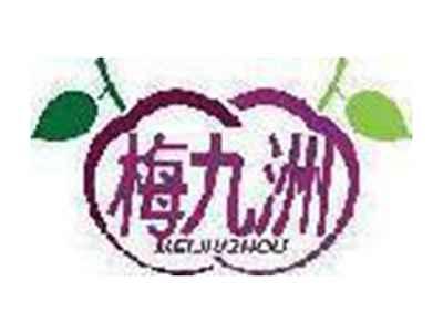 梅九洲