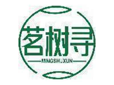 茗树寻