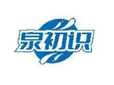泉初识
