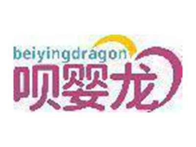 呗婴龙 BEIYINGDRAGON