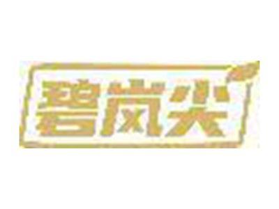 碧岚尖