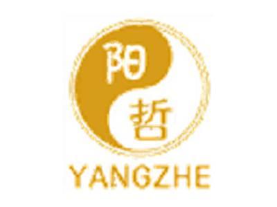 阳哲