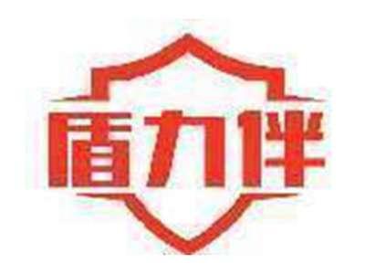 盾力伴