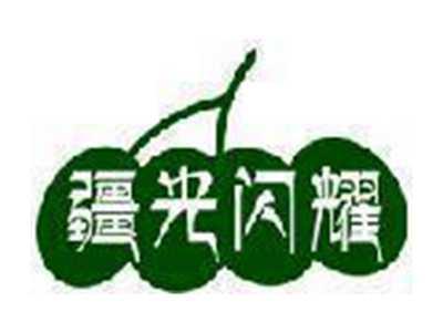 疆光闪耀