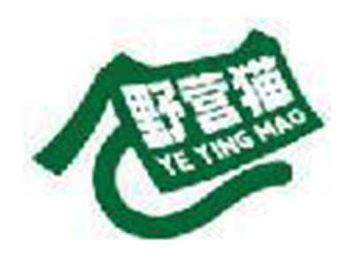 野营猫