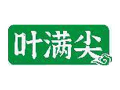 叶满尖